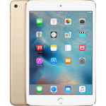 iPad Mini 4 3G Cũ 95% - 99%