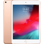 iPad Mini 5 WiFi 64GB