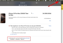 iPhone 16 Pro Max màu mới 'cháy hàng' sau ba phút tại Việt Nam !!!!!