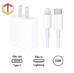 Bộ sạc nhanh Zin Apple 20W