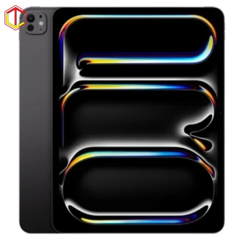 iPad Pro M4 11 inch Wifi 256GB 99%