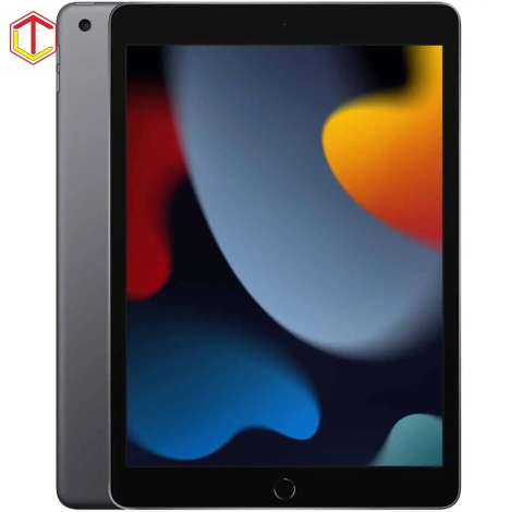iPad Gen 9 10.2 inch WiFi 256GB (2021) 99%