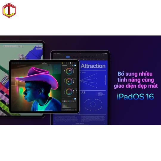 IPad Pro M2 11 Inch WiFi 128GB (2022) 99%