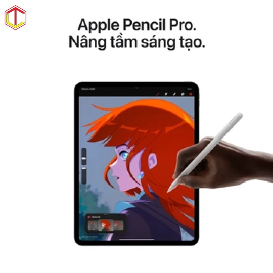 iPad Pro M4 11 inch Wifi 256GB 99%