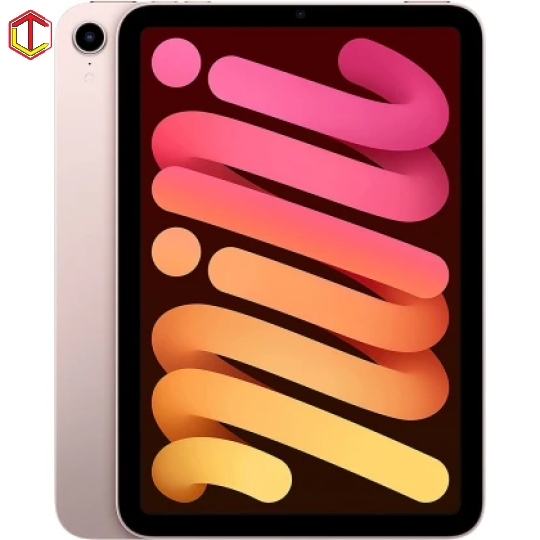 iPad Mini 6 5G 256GB 
